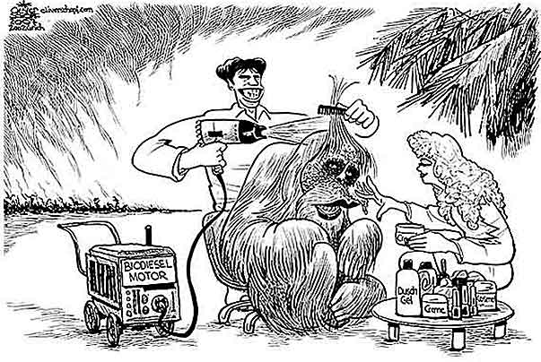 Oliver Schopf, editorial cartoons from Austria, cartoonist from Austria, Austrian illustrations, illustrator from Austria, editorial cartoon climate and environment
extinction, orang-utan, palm-oil, barber; The last orang-utan is quickly styled with palm-oil products before his extinction.