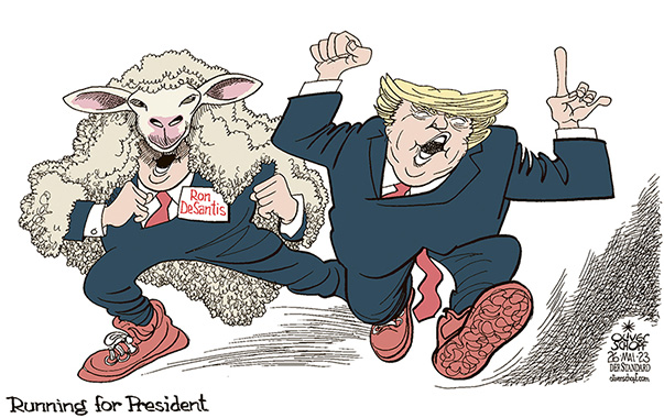 Oliver Schopf, editorial cartoons from Austria, cartoonist from Austria, Austrian illustrations, illustrator from Austria, editorial cartoon politics politician International, Cartoon Movement, CartoonArts International 2023: USA PRESIDENT ELECTIONS 2024 DONALD TRUMP RON DESANTIS REPUBLICANS CANDIDATE RUNNING RUN WOLF IN SHEEP’S CLOTHING SHOE 
