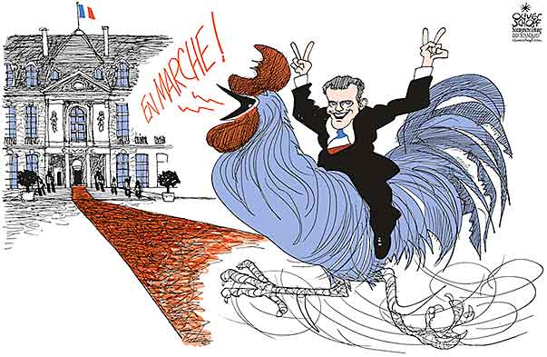 Oliver Schopf, editorial cartoons from Austria, cartoonist from Austria, Austrian illustrations, illustrator from Austria, editorial cartoon politics politician Europe, Cartoon Arts International, New York Times Syndicate, Cagle cartoon 2017 : FRANCE PRESIDENTIAL ELECTIONS EMMANUEL MACRON WINNER ROOSTER EN MARCHE RED CARPET   
