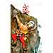 Oliver Schopf, editorial cartoons from Austria, cartoonist from Austria, Austrian illustrations, illustrator from Austria, editorial cartoon politics politician Austria 2010: presidential elections heinz fischer mountain climbing vote