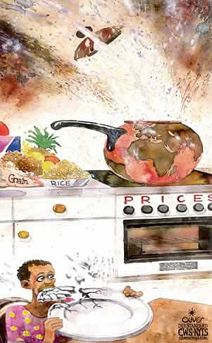 Oliver Schopf, editorial cartoons from Austria, cartoonist from Austria, Austrian illustrations, illustrator from Austria, editorial cartoon International 2008: food, prices, rice, grain, cooking, world, hungry
