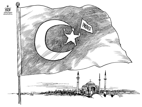 Oliver Schopf; edotorial cartoons; cartoonist, editorial cartoon, turkey 2007, protest, flag, mosque