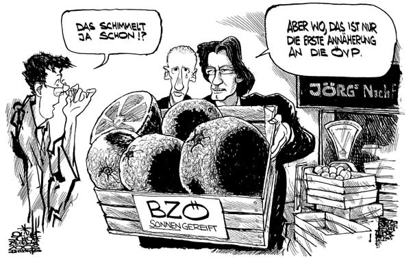 Oliver Schopf, politischer Karikaturist aus �sterreich, politische Karikaturen aus �sterreich, Karikatur, Illustrationen �sterreich 2008:
Bzoe, petzner, bucher, orangen, markt, schimmel
 