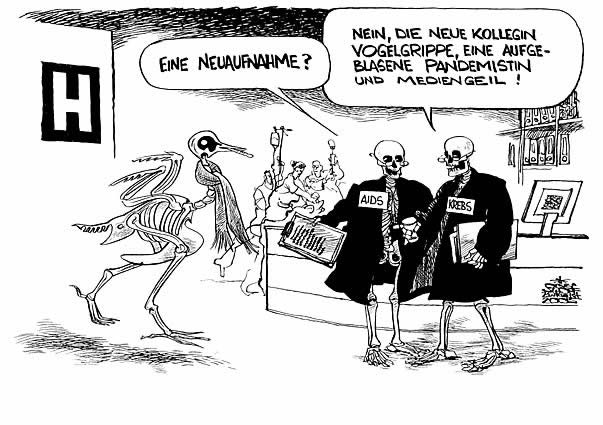 3vogel.jpg