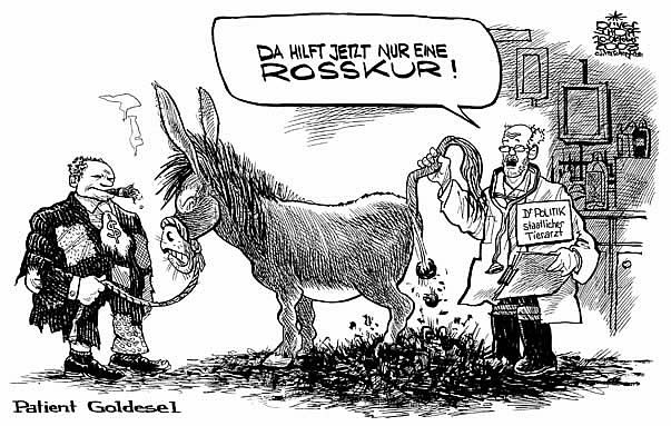 Oliver Schopf, politischer Karikaturist aus �sterreich, politische Karikaturen aus �sterreich, Karikatur Illustrationen international 2008: finanzkrise, goldesel, tierarzt, rosskur
