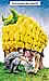 Oliver Schopf, editorial cartoons from Austria, cartoonist from Austria, Austrian illustrations, illustrator from Austria, editorial cartoon International 2008: genetic engineering, corn, cow, milking, future 