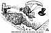 Oliver Schopf, editorial cartoons from Austria, cartoonist from Austria, Austrian illustrations, illustrator from Austria, editorial cartoon International 2008: market, crisi, uncle scrooge, swimmingpool 