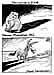 Oliver Schopf, editorial cartoons from Austria, cartoonist from Austria, Austrian illustrations, illustrator from Austria, editorial cartoon International 2008: usa, pennsylvania, groundhog day, punxsutawney phil, shadow, democrats, jackass  