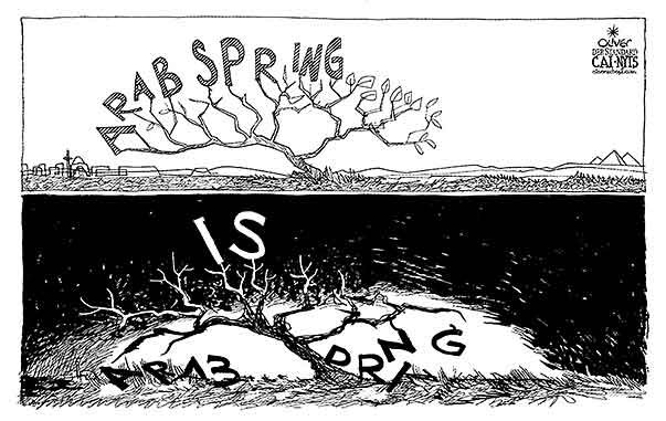 Oliver Schopf, editorial cartoons from Austria, cartoonist from Austria, Austrian illustrations, illustrator from Austria, editorial cartoon middle-east Mid East 2014 MIDDLE EAST ARAB SPRING TREE GREEN LEAVES IS ISIS WINTER TERROR CHANGE COLD 
      
 
