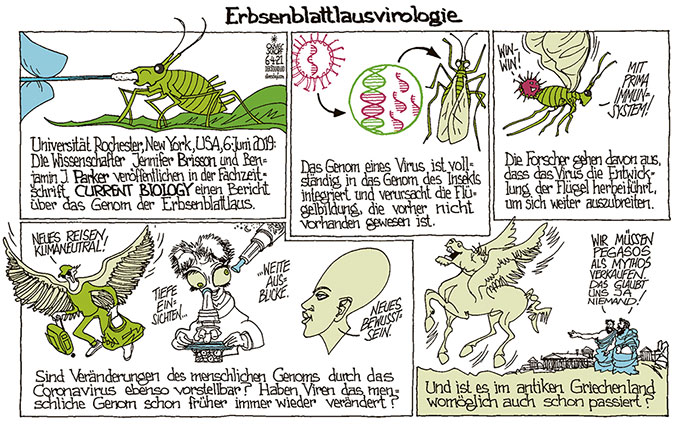 Oliver Schopf, politischer Karikaturist aus Österreich, politische Karikaturen aus Österreich, Karikatur Cartoon Illustrationen Politik Politiker Europa 2021: CORONAVIRUS KRISE SARS-CoV-2 COVID-19 VIROLOGIE GENETIK GENOM DNA RNA ERBSENBLATTLAUS UNIVERSITY ROCHESTER NEW YORK JENNIFER BRISSON BENJAMIN J PARKER CURRENT BIOLOGY PEA APHID FLÜGEL WINGS PEGASOS ANTIKE MYTHOLOGIE 
