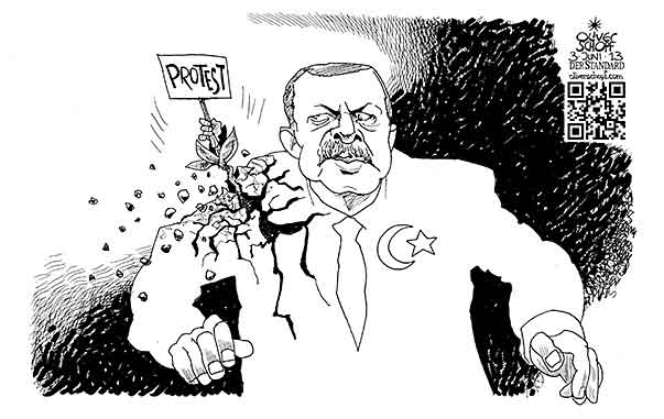  Oliver Schopf, politischer Karikaturist aus Österreich, politische Karikaturen, Illustrationen Archiv politische Karikatur Welt 2013 TUERKEI ERDOGAN PROTESTE ISTANBUL DEMOKRATIE GEZI PARK TAKSIM PLATZ 

